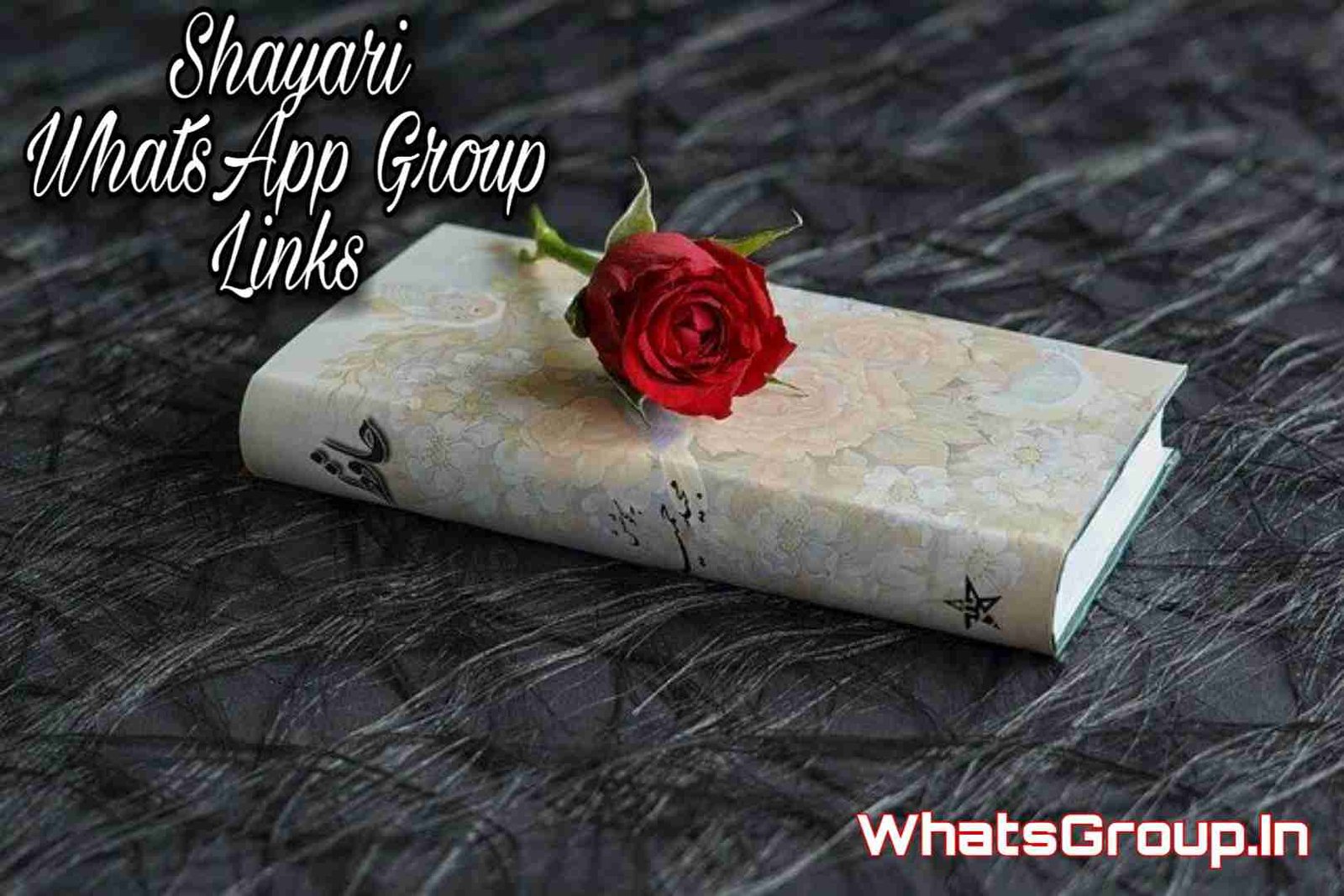 http://whatsgroup.in/mumbai-whatsapp-group-links/