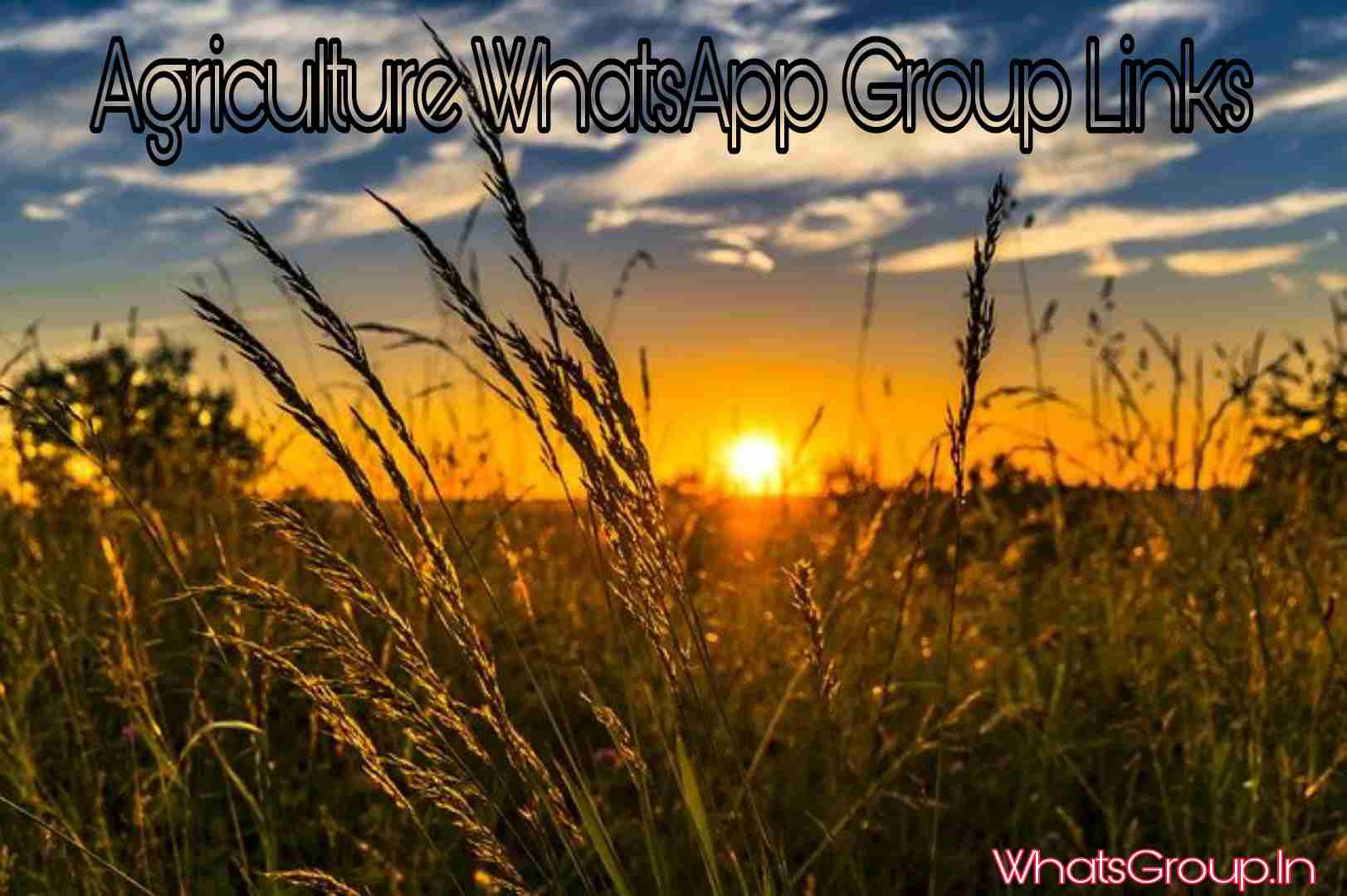 Agriculture WhatsApp Group Links